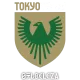 Logo NTV Tokyo Verdy Beleza